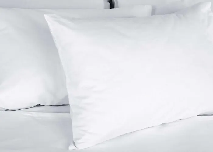 Hotel Magnuson 2*