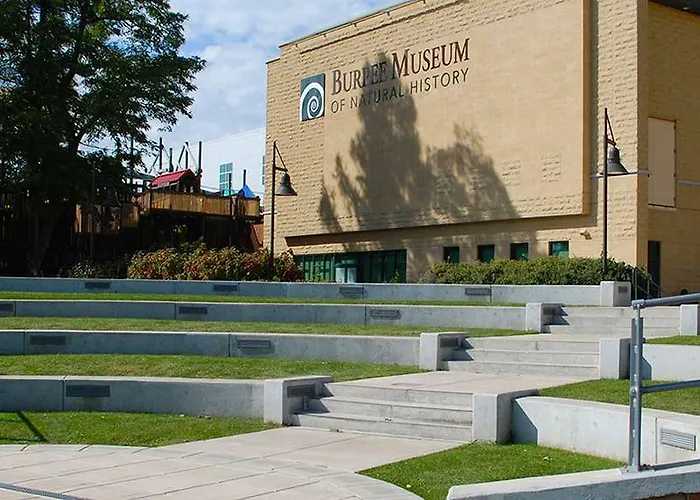 Magnuson 2* Dixon